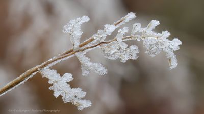 R6II2622-IJskristallen.jpg