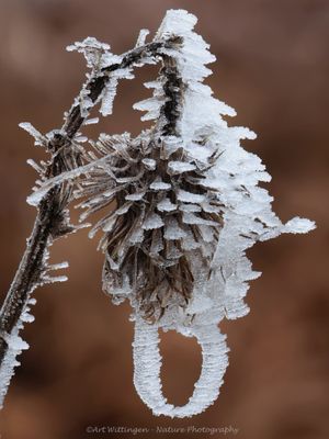 R6II2674-IJskristallen.jpg