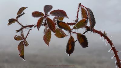 R6II2733-IJSkristallen.jpg