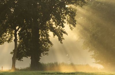 R6II2316 Sunrise.jpg