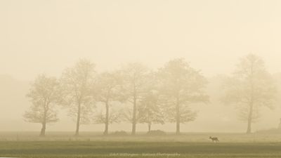 Enschede e.o.