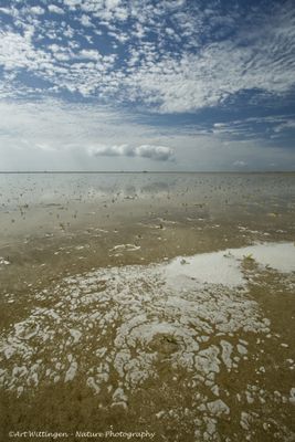 R6II5813 Terschelling.jpg