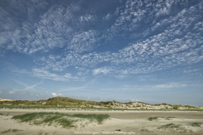 R6II5850 Terschelling.jpg