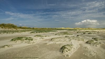 R6II5857 Terschelling.jpg