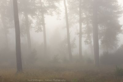 Twente - The Netherlands