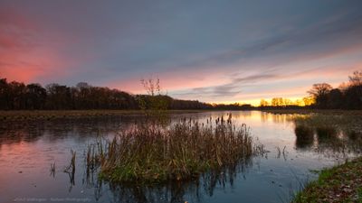Buurserzand - The Netherlands