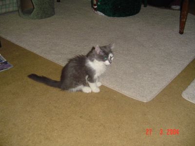 DSC00380.JPG