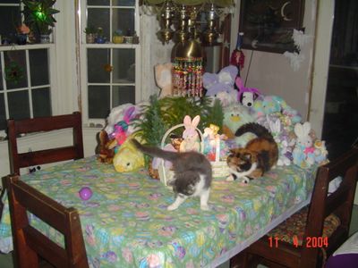DSC00432.JPG