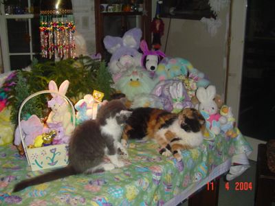 DSC00435.JPG