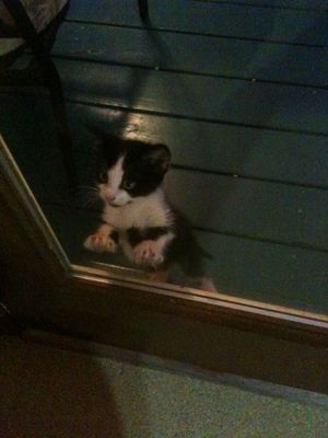 Picture (311).jpg