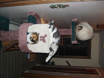 IMG_3099.jpg