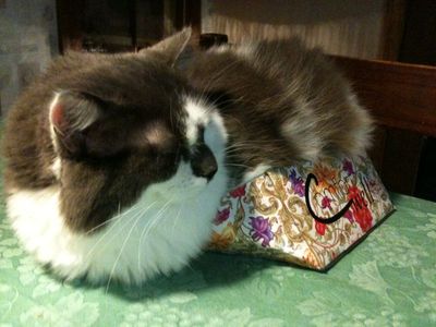 Picture (388).jpg