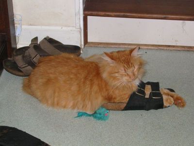 109-0950_IMG.JPG