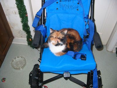 111-1155_IMG.JPG