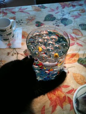Picture (47).jpg