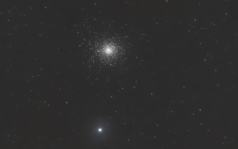 M5_Rose Cluster