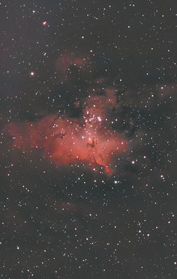M16