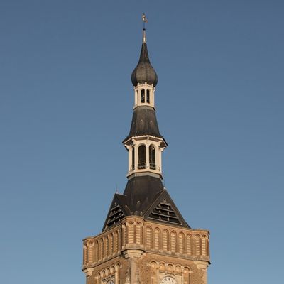 _F6A2666.jpg