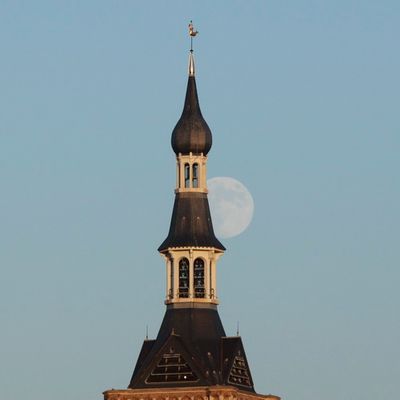 _F6A7517.JPG