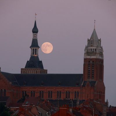 _F6A7667.JPG