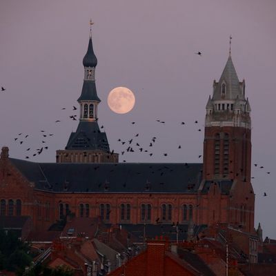 _F6A7687.JPG