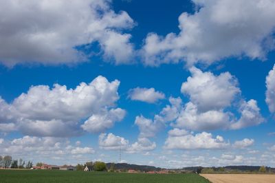 AV1P4958.jpg