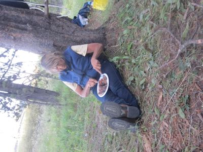 IMG_1238.JPG