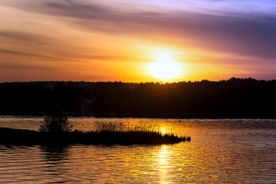 Narew River Sunset