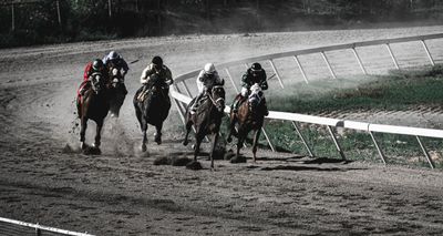 Elko County Fair