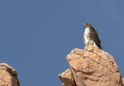 A7400244.jpg