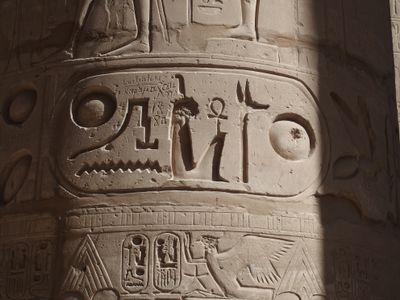 P3120185.JPG
