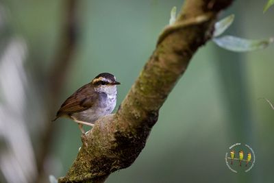_C1A7163.jpg