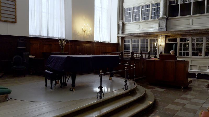 organ_video