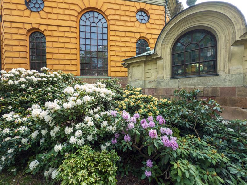 Hedvig Eleonora Church
