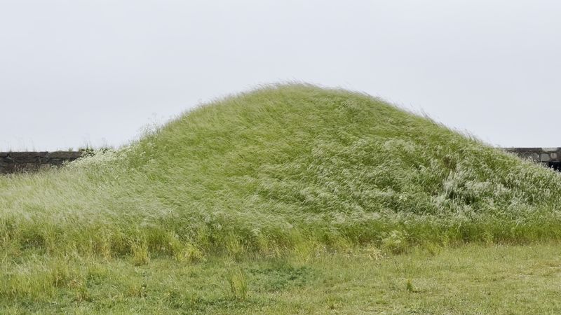 Grass Blowing in the Wind