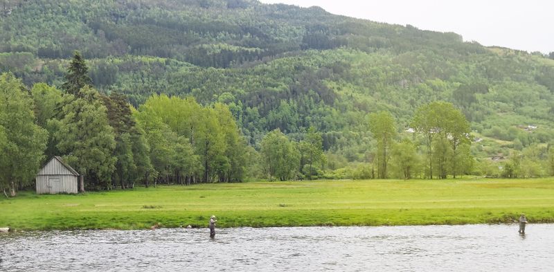 Norway by Bus