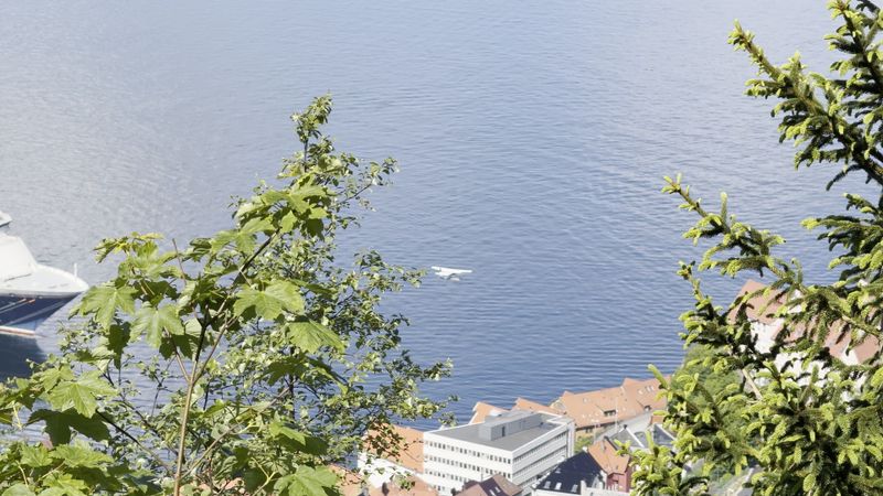 Seaplane Landing