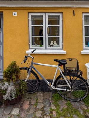 The Dogs of Ærøskøbing