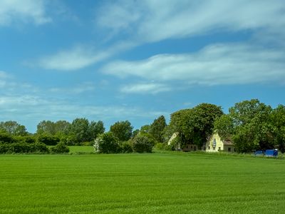 Ærø Island Countryside