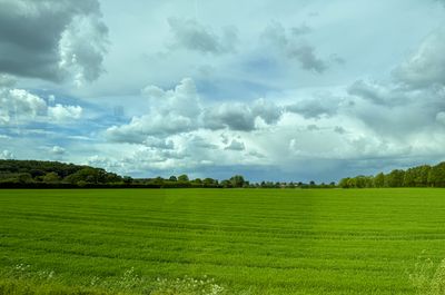 IMG_5346.jpg