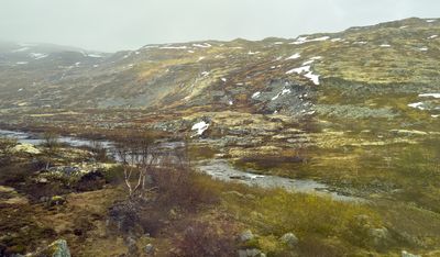 g13/56/520456/3/175598145.1816e1f6.JPEG
