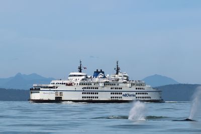 R7__3705.JPG
