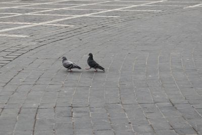 g13/56/5444156/3/173451266.6a71c00f.JPEG