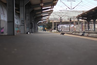 g13/56/5444156/3/173471362.73f34be7.JPEG