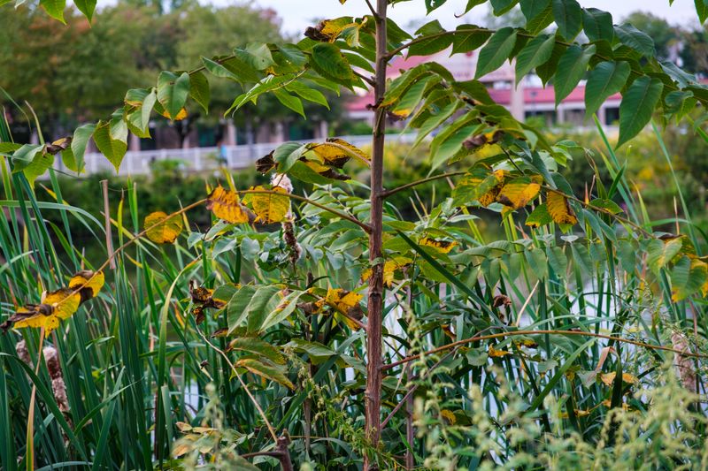 20240918-DSCF0249.jpg