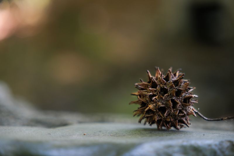 DSCF1275.jpg