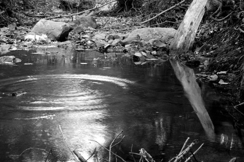 DSCF1549.jpg
