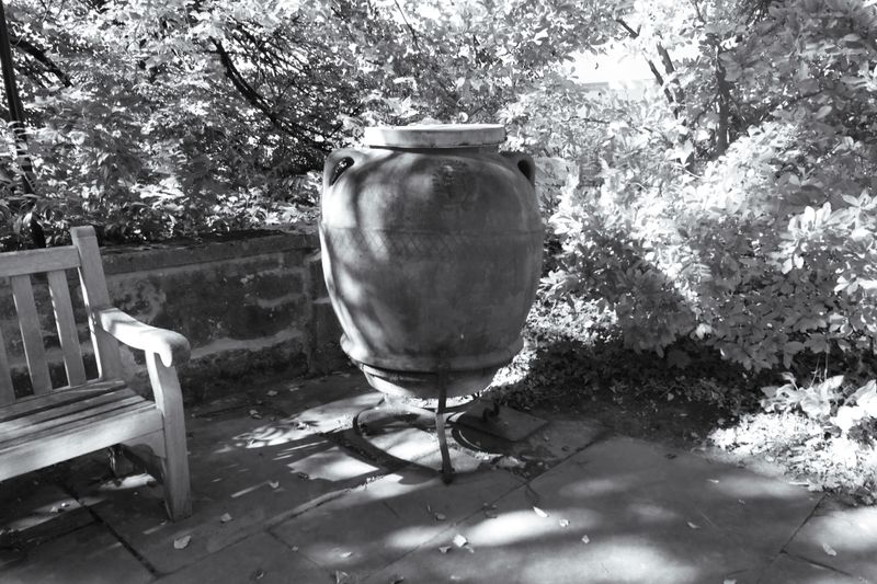 DSCF3209.jpg