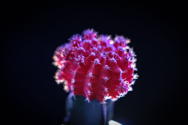 DSCF3417.jpg