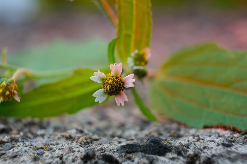 DSCF3930.jpg